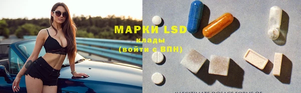 PSILOCYBIN Алексеевка