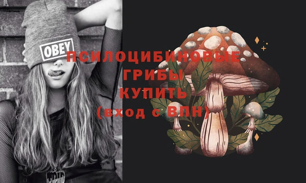 дмт Пестово