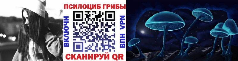 Псилоцибиновые грибы мицелий  купить наркотики сайты  Наволоки 